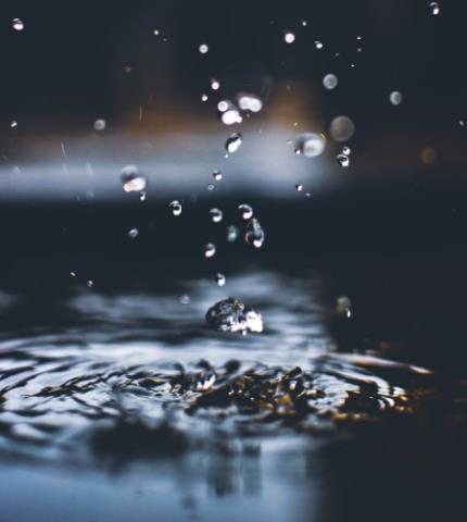 1671095235631880.jpg 18.jpg