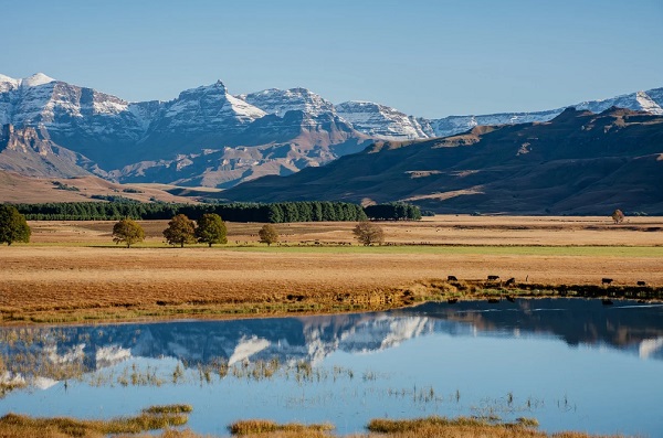 水中总磷超标的原因.jpg 水中总磷超标的原因.jpg